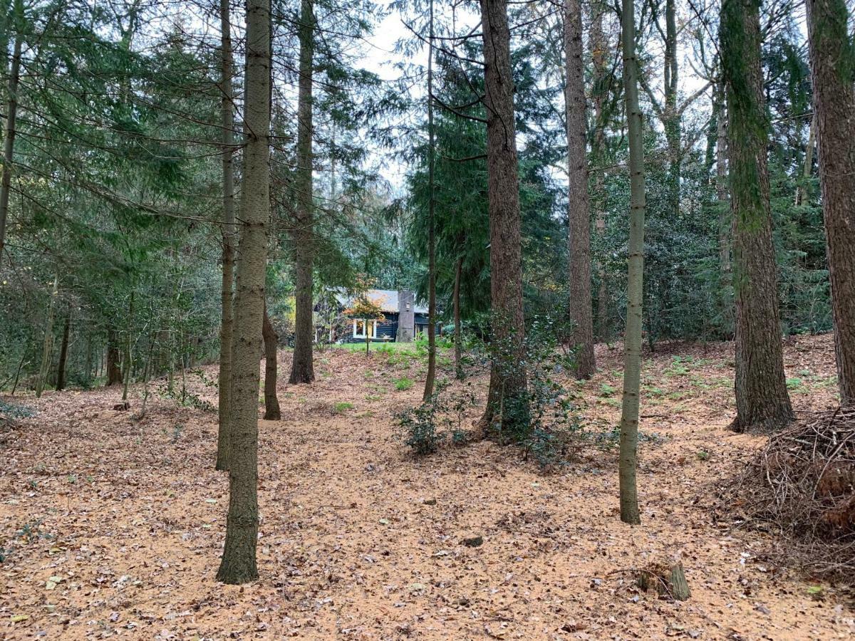 Villa Landgoed De Heezeberg à Diever Extérieur photo